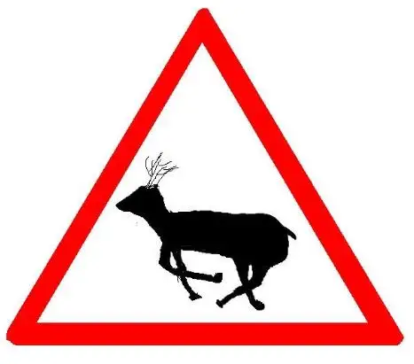 जंङ्गली जनावर